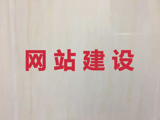 定边县专业网站设计